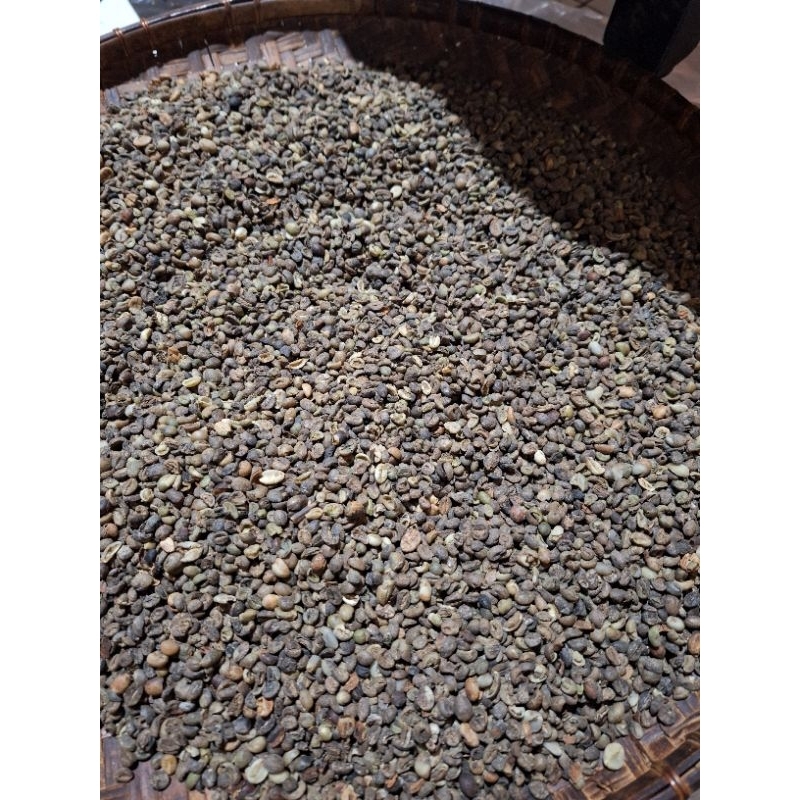 

GREEN BEANS GRID 3 /Komersial JAVA 1 kg