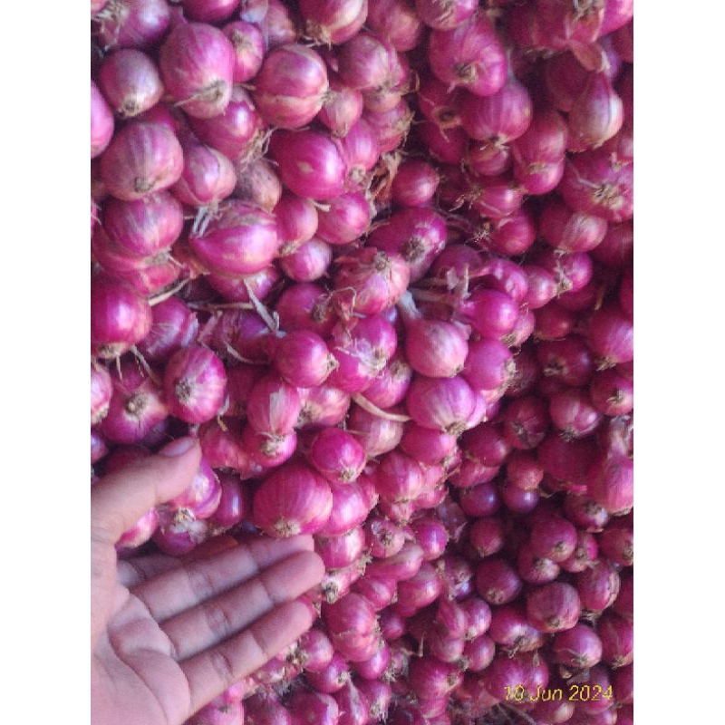 

Bawang Merah