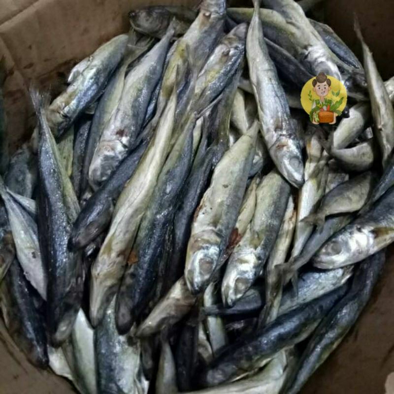 

Ikan klotok 100 gram