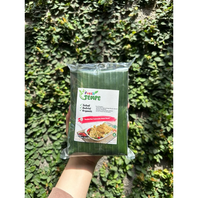 

Tempe Mendoan