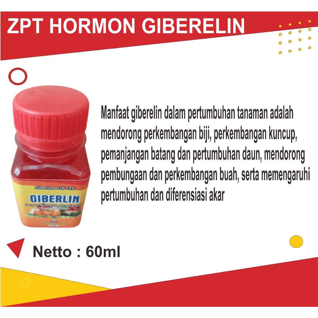 Hormon ZPT Giberelin 73% 60ml Perangsang Bunga dan Pembesar Buah,