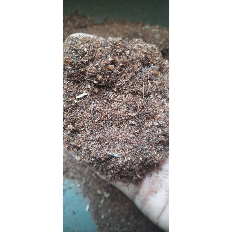 

SUNGUT CENGKEH KERING 1KG