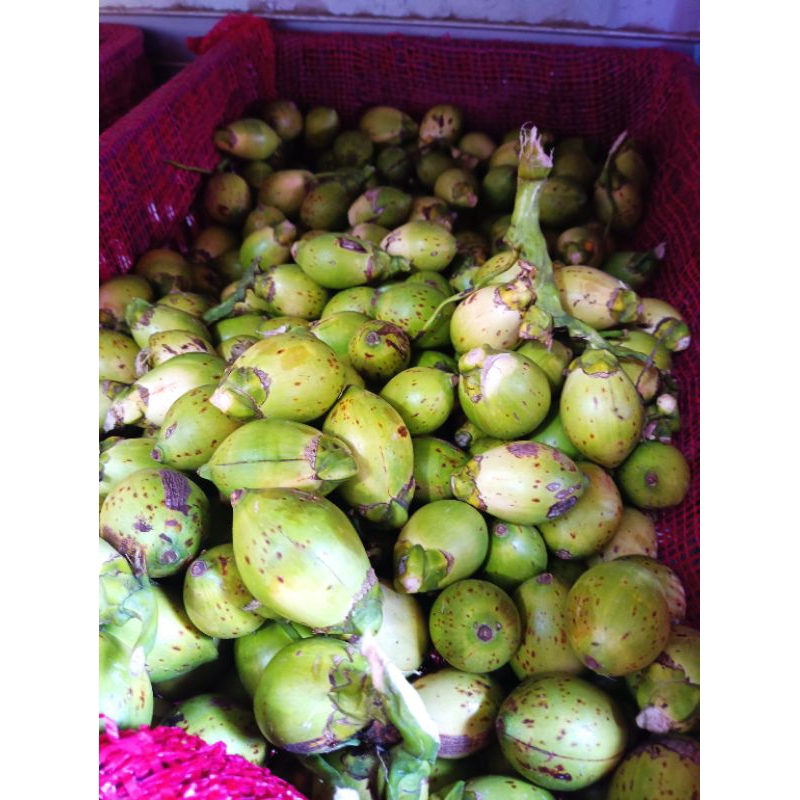 

Pinang segar