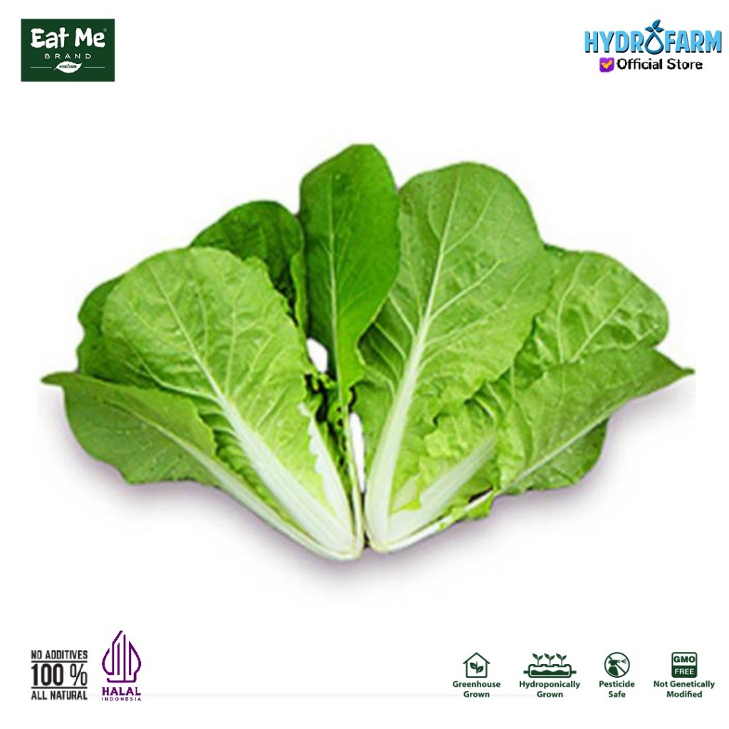 

Eat Me Brand - Sayur Sawi Samhong Hidroponik Kg