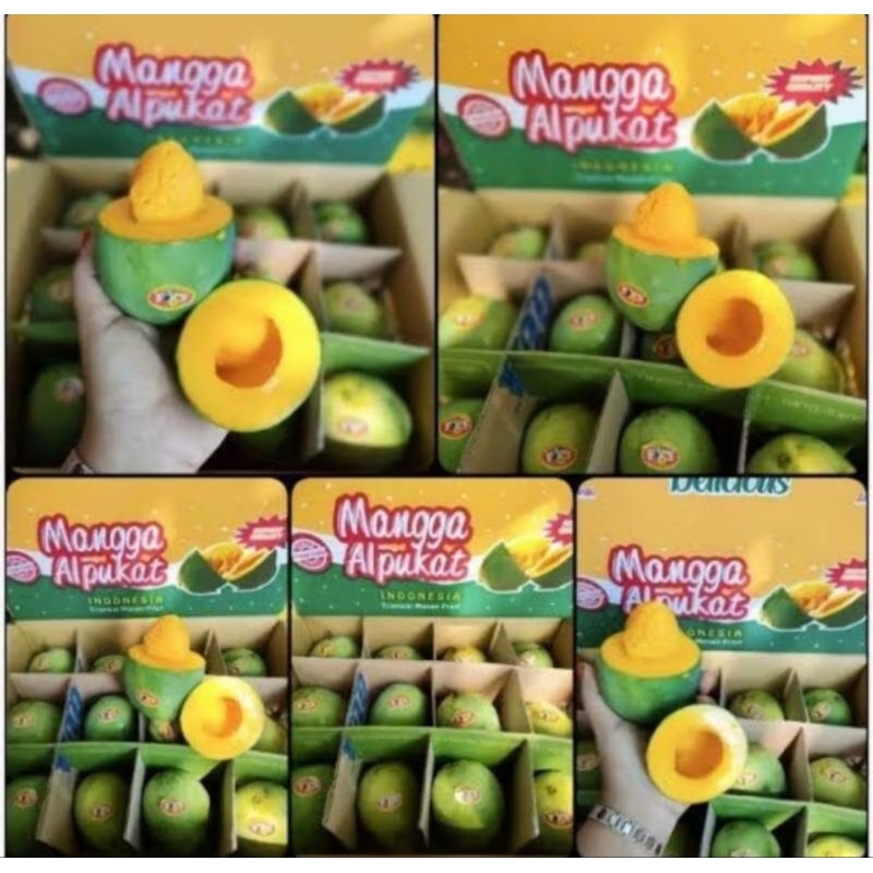 

Mangga Harum manis/ Mangga alpukat klonal 1 dus