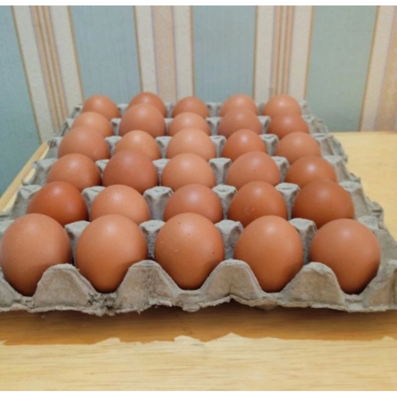 

Telur/Telur Ayam/ Telur Segar /Telur Ayam Negeri 20 KG ( 30 Butir )