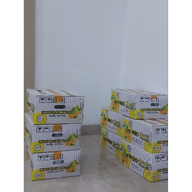 

Mangga Alpukat matang pohon grade A