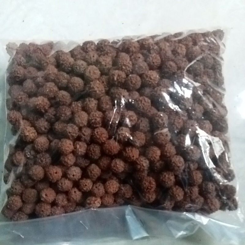 Jenitri bahan kalung sudah berlobang 1 kilo kualitas baik