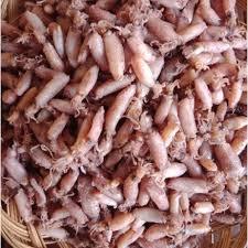 

Cumi Asin / Cumi Cumi Asin Best Seller