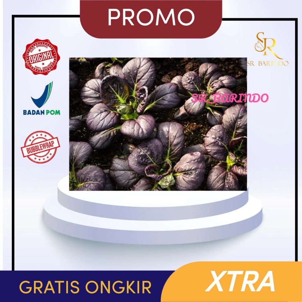 50 BENIH BIJI PAKCOY MERAH | BENIH SAYURAN | BIBIT SAYURAN | BENIH TANAMAN SR