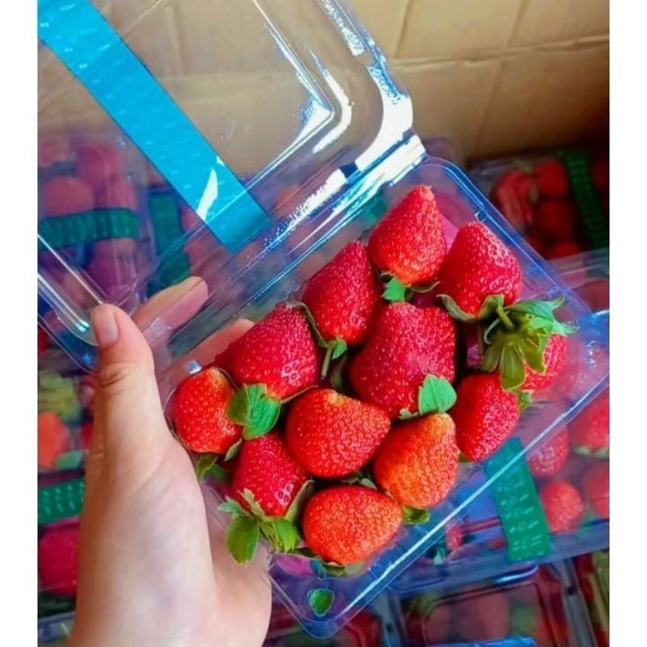 

Strawberry Fresh 250gr