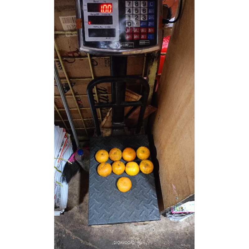 

jeruk Medan harga grosiran per 1 dus