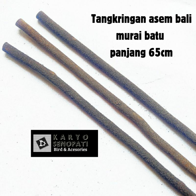tangkringan asem bali super murai batu great A panjang 65cm tangkringan burung