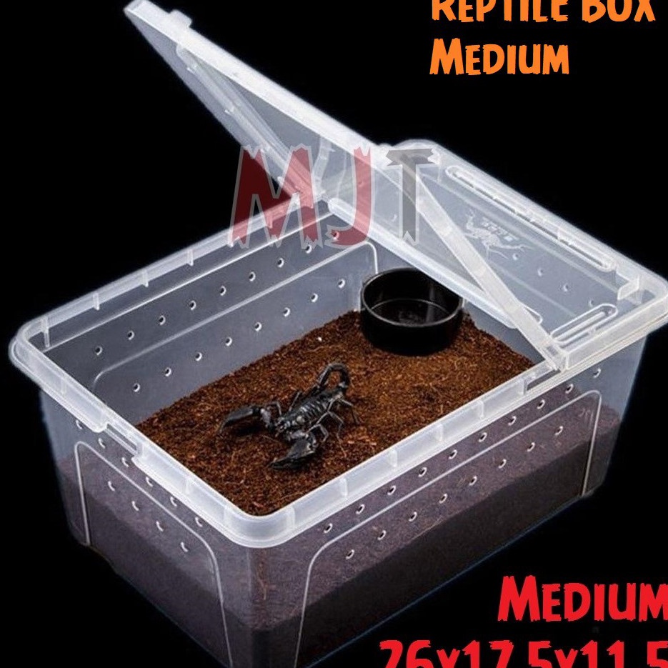 Gratis Bubble Wrap  Breeding Box Kotak Kandang Reptil Tarantula Enclosure Feeding Box NOMOY H4 Wadah