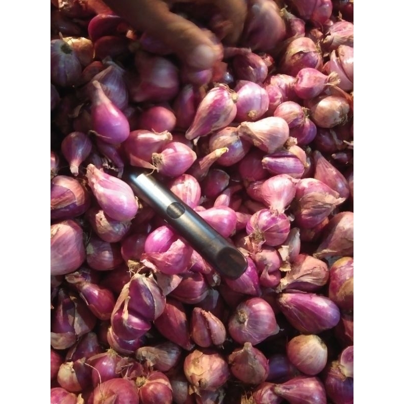 

Bawang Merah Super Brebes 500gr