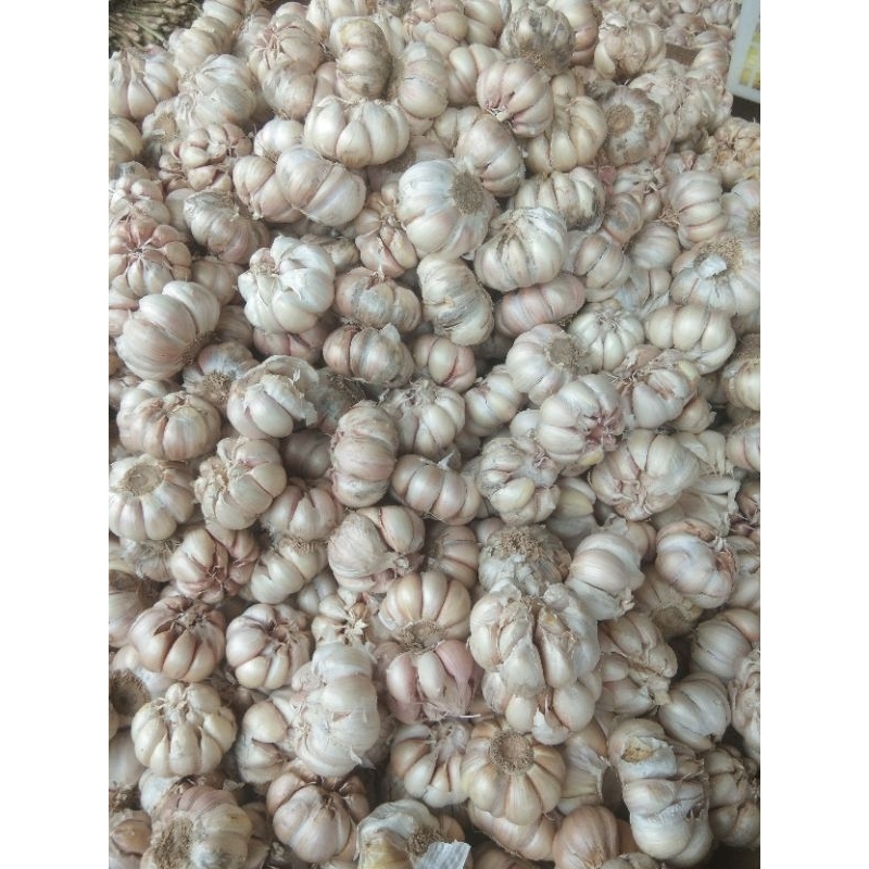 

Bawang Putih Super 1000 gr