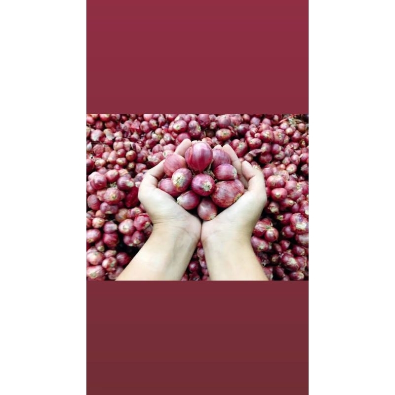 

BAWANG MERAH BESAR KERING 1 KG