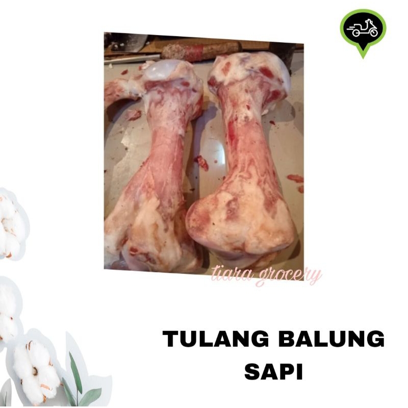 Tulang balung sapi