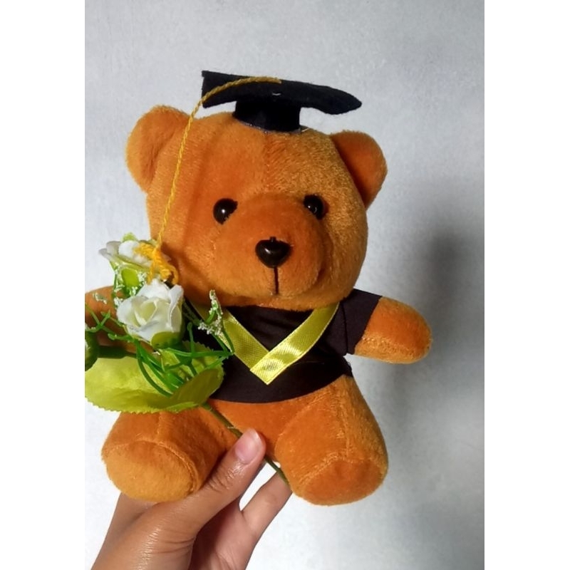 boneka wisuda/ boneka buket/ boneka beruang mini lucu