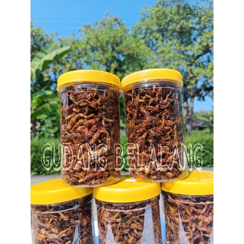 

Belalang goreng utis/kecil toples sosi termurah berat 210 gr 4 varian rasa