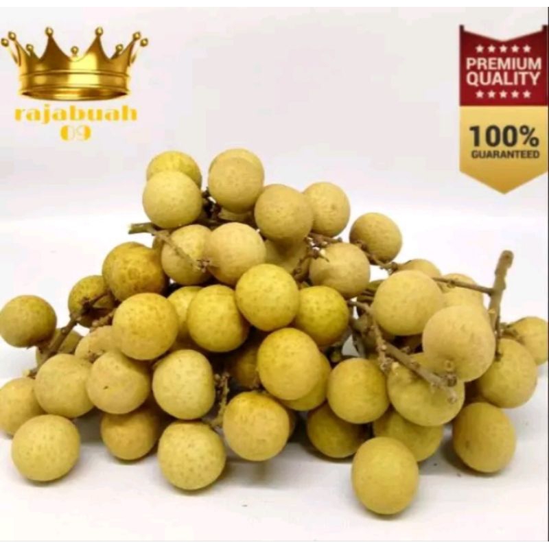 

buah klengkeng bangkok super 500gr