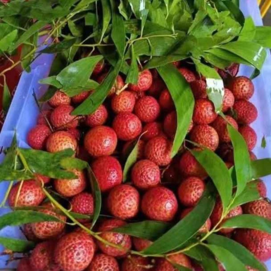 

Leci merah 500 gram l 1kg