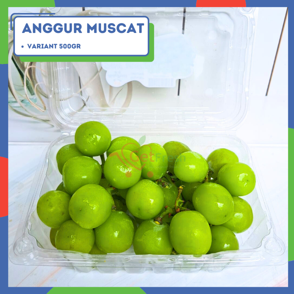 

Anggur Muscat - Pack 500gr