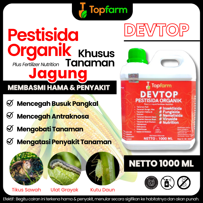 Obat Semprot Hama Daun Jagung / Obat Hama Jagung Ampuh / Obat Untuk Hama Ulat Pada Jagung / Obat Ham