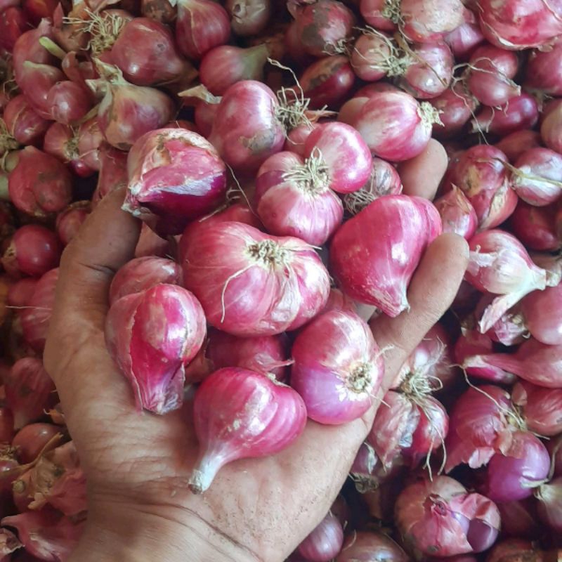 

bawang merah super nganjuk kemasan 1kg