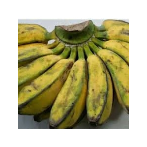 

Pisang Kepok 1 Sisir (Sayur Maxx)