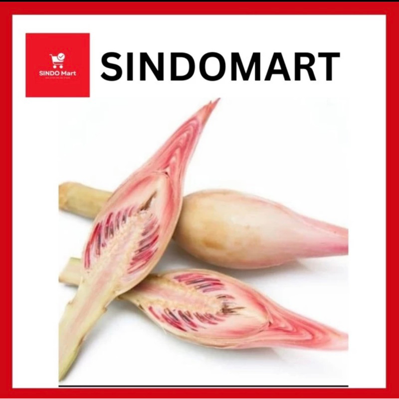 

Daun Kecombrang combrang per batang