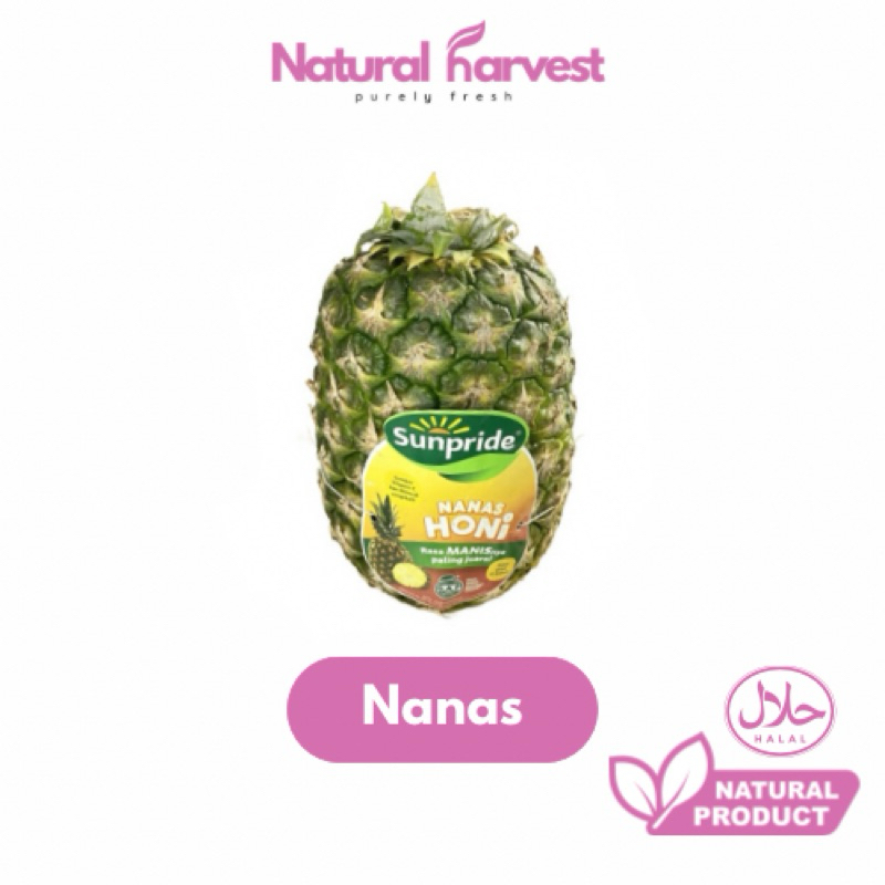 

Nanas Honi Sunpride 1pcs | NaturalHarvest!