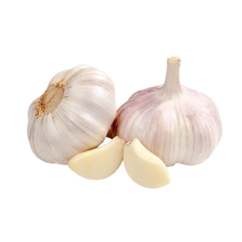 

KILAT Bawang Putih Honan Fresh