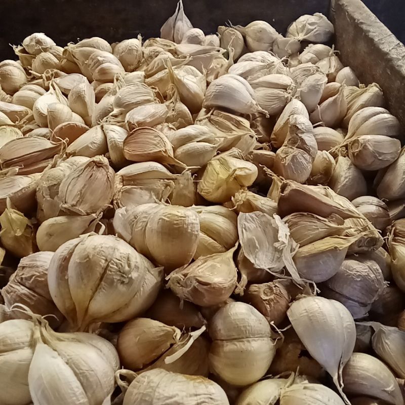 

bawang putih katting 250gram