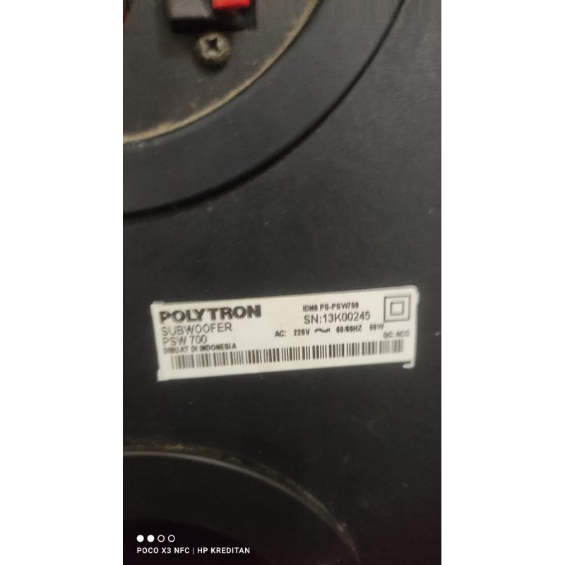 polytron psw 700