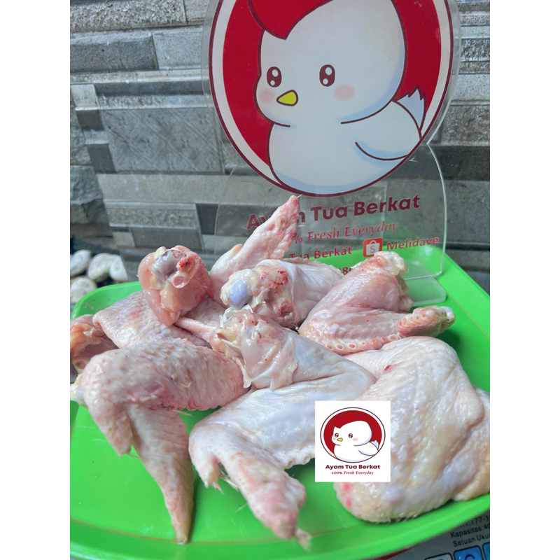 

Sayap ayam Peren/ayam petelur/ayam tua Fresh