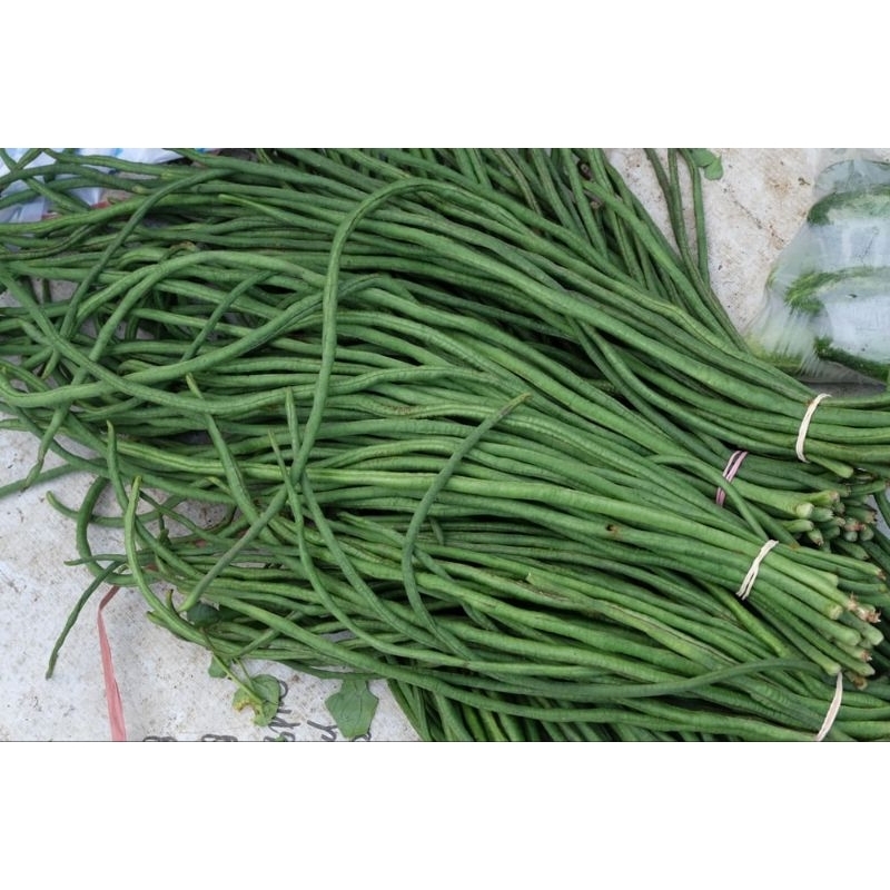 

250 gr sayur kacang panjang fresh.