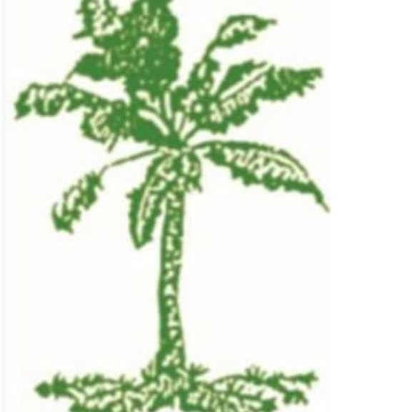 bleaching earth penjernih minyak