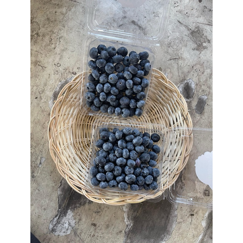 

HAPPYFRESHFRUITS Blueberry Artigues - 125g
