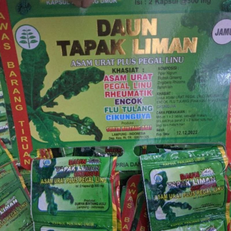 

DAUN TAPAK LIMAN RENCENG KAPSUL
