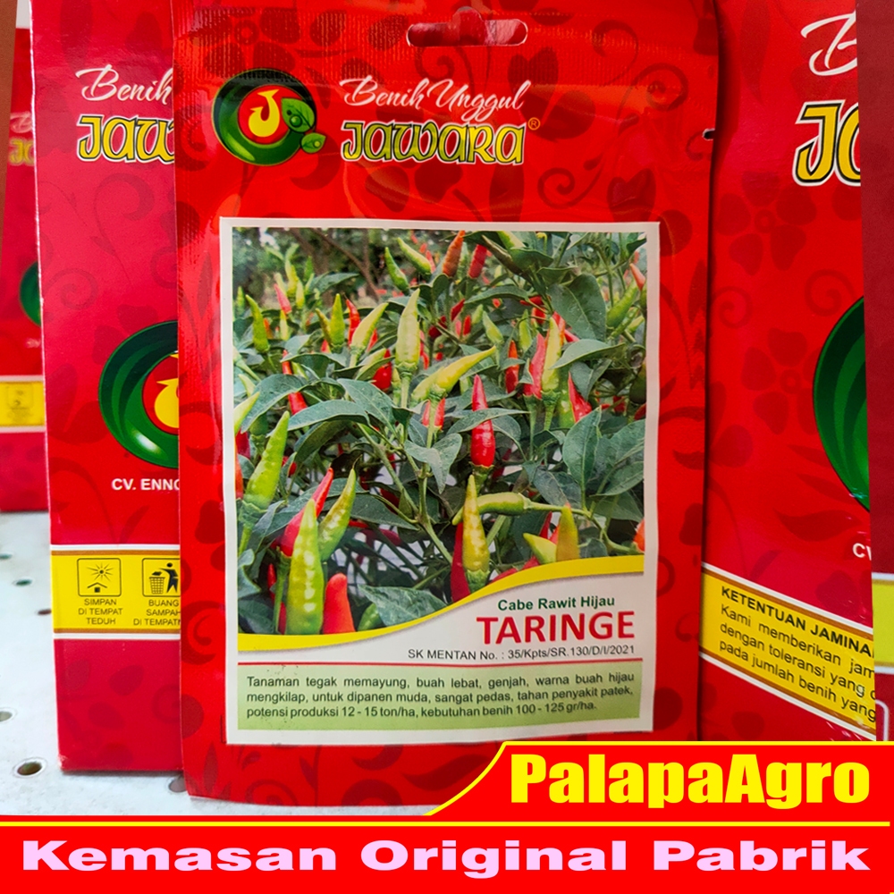 bibit cabe rawit hijau taringe 10gr - benih cabe rawit super unggul