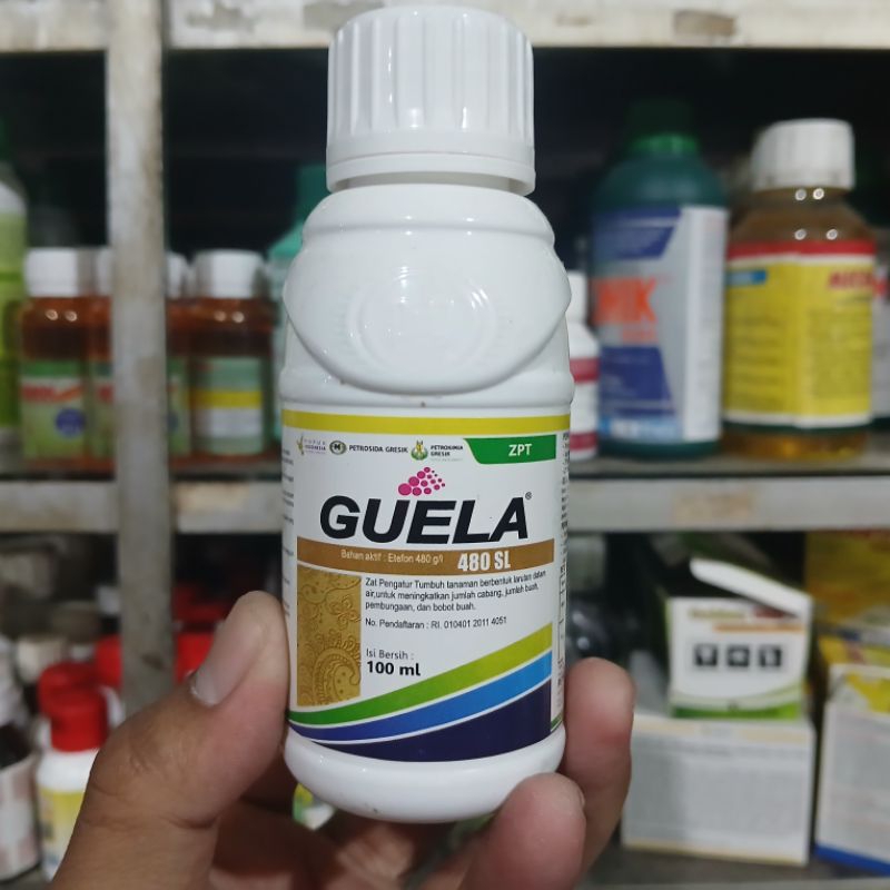 GUELA 480 SL ZPT PEMASAK BUAH MELON PISANG SEJENIS ETHREL