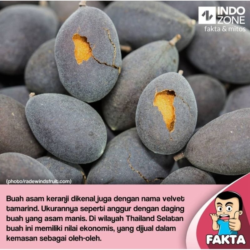 

500gr BUAH KERANJI PALEMBANG KECIL RASANYA MANIS/ASAM/LUMER