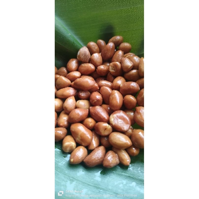 

Kacang Tanah Goreng Cemilan Kacang goreng
