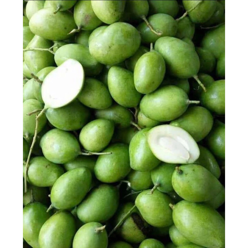 

mangga muda / ampalam