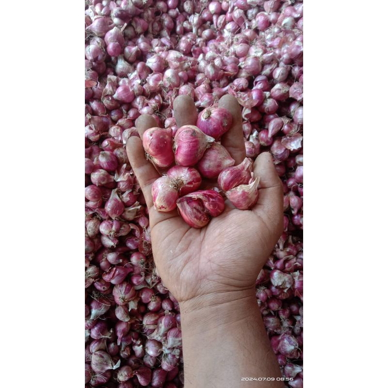 

(PADMA) Bawang Merah Murah 1kg