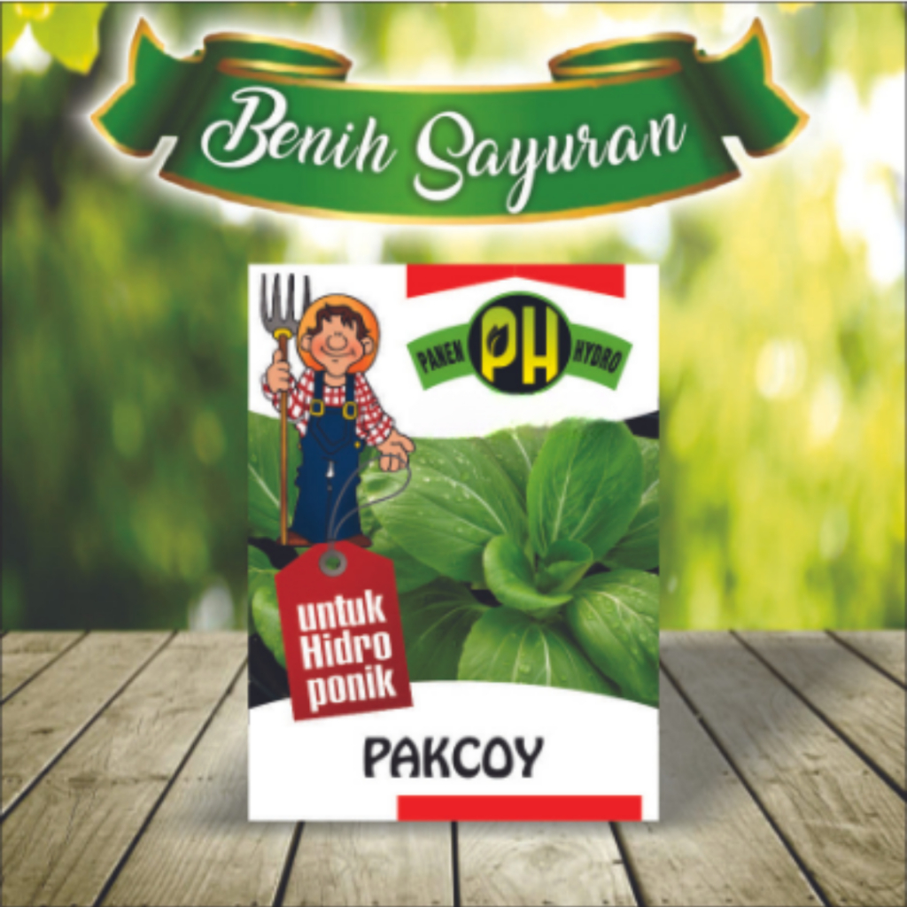 BENIH BIBIT PAKCOY KHUSUS HIDROPONIK
