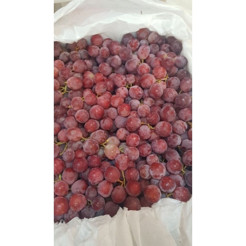 

Anggur Red Globe 1kg