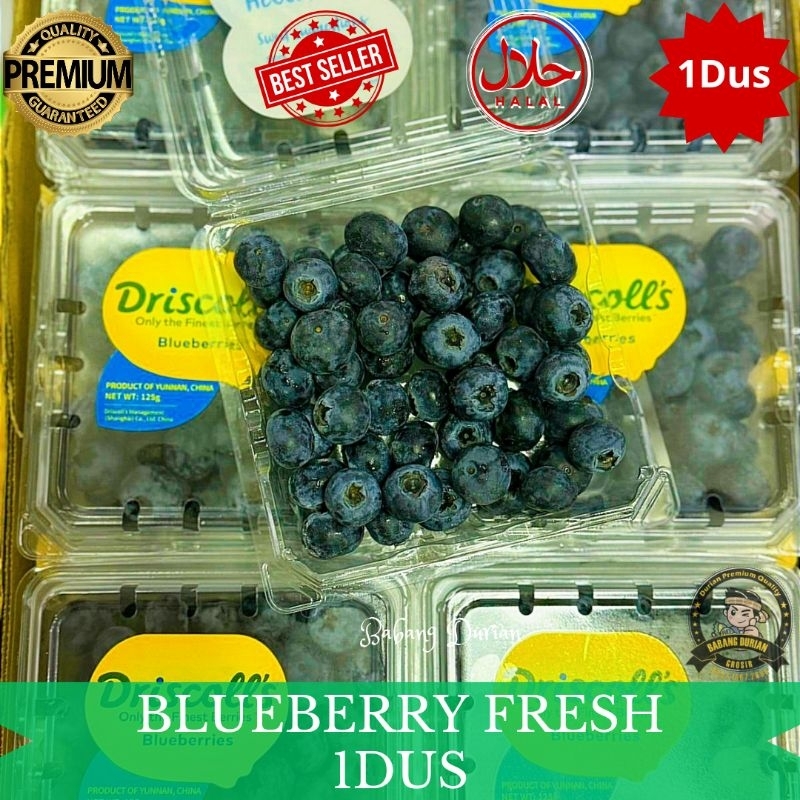 

BLUEBERRY FRESH 1DUS ISI 12PACK