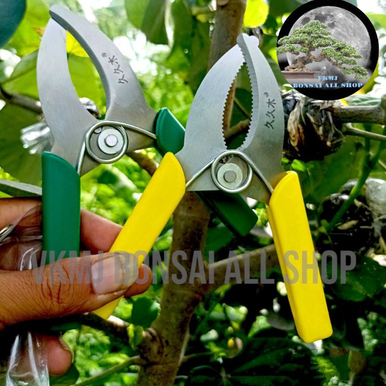 

Gunting Khusus cangkok stainless b YJ5